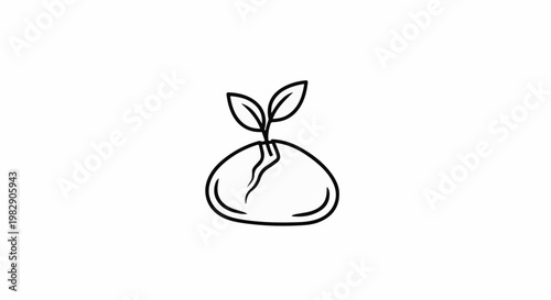 A simple line drawing of a small plant sprouting from a cracked seed