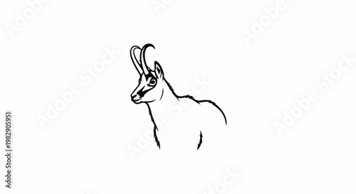 Stylized black and white line drawing of a chamois head and shoulders