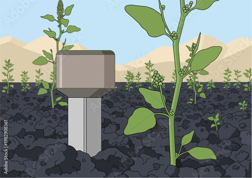 A soil moisture sensor embedded in dark earth among green plants in a dry, arid landscape.