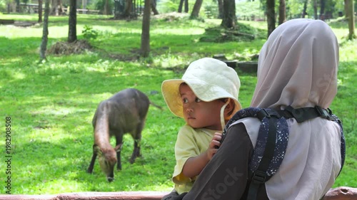 Woman at a zoo with child, observing animals behind a fence. Perfect for illustrating family outings, wildlife conservation, and education.
