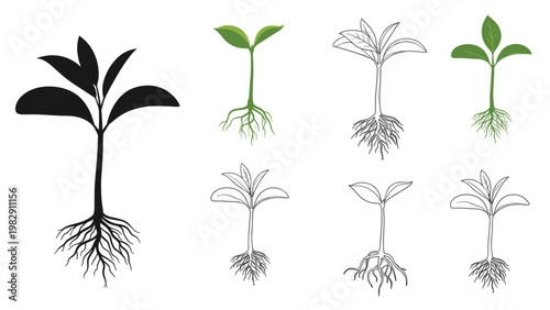 Growth stages and plant sprout icons collection shows various young seedlings with their roots in silhouette and line art styles.