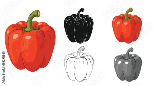 Selection of red bell pepper illustrations displayed in various artistic formats including realistic color solid black and line art styles.