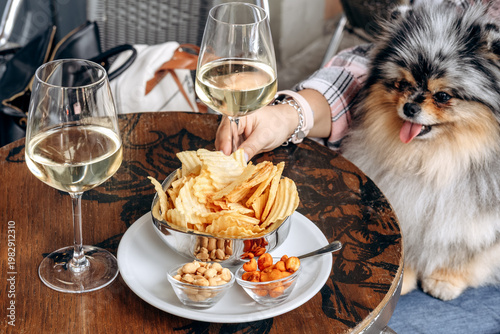 Fotografie Cozy Cafe Snack Moment With White Wine, Potato Chips and a Small Pomeranian on a