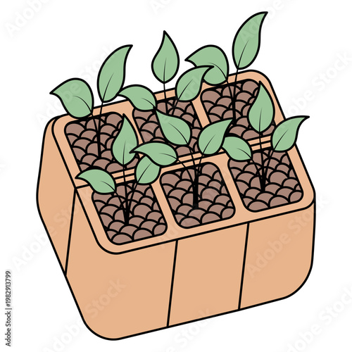 Seedlings sprouted in pots filled with soil. Sprouts with green leaves. Rectangular brown containers. Color vector illustration. Isolated on white background. A seed sprouting into a plant. 
