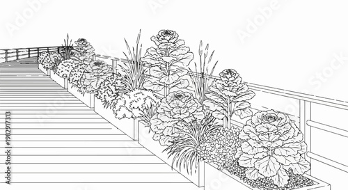 Raised garden beds with ornamental kale and grasses on a deck
