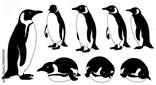 Tableau sur toile Penguin Collection: Standing and Waddling Silhouettes