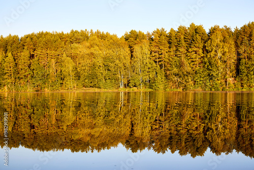 Tranquil River Reflections of Autumn Trees