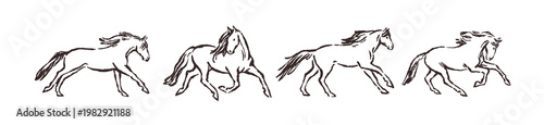 Doodle outline horse sketches set. Chalk line drawing of equine animals running, standing, jumping. Hand-drawn charcoal foals, contour style. Handdrawn vector illustration isolated on white background