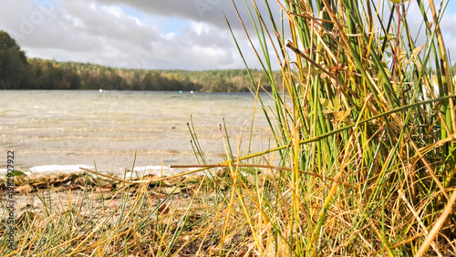 The shore of Lake Zawiad. Bieszkowice, Kashubia, northern Poland.