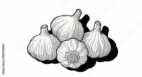 A hand-drawn illustration of four garlic bulbs, one showing its cut base