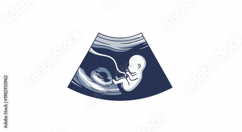 Ultrasound image of a fetus developing inside the womb