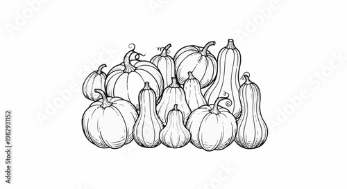 Diverse assortment of pumpkins and gourds sketched in black and white