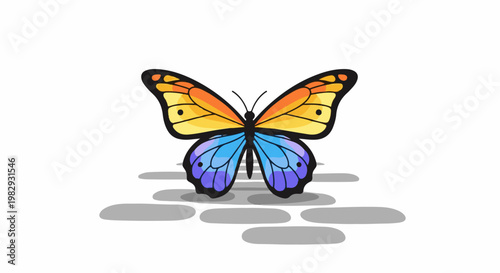 Vibrant butterfly with orange, yellow, and blue wings on a shadowed ground