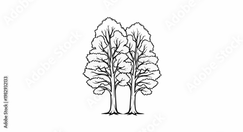 Two stylized trees with full canopies and visible branching