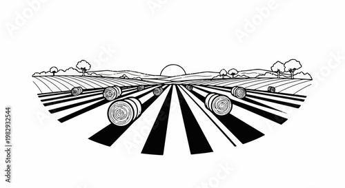 Rolling hills and harvested fields with hay bales under a setting sun