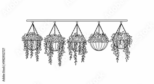 Five hanging flower baskets cascade with delicate blooms and trailing green leaves