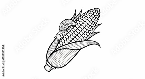 Black and white illustration of a caterpillar on an ear of corn