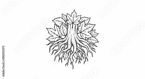 Stylized drawing of a tree trunk and roots with maple leaves