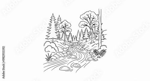 A winding stream flows through a forest with pine and deciduous trees