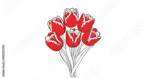 A vibrant bouquet of red and white tulips stands tall against a crisp white background