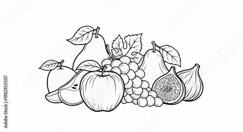 A variety of fresh fruits, including pears, apples, grapes, and figs, are depicted