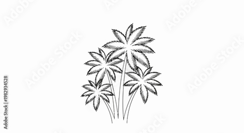 Sketchy illustration of a cluster of palm trees on a white background