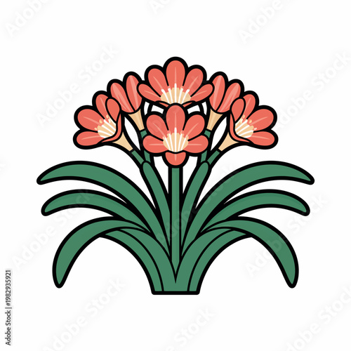 Orange clivia flower illustration, natal lily floral vector in minimal style