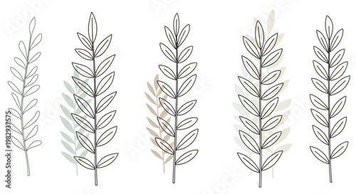 Minimalist botanical illustration of olive branches with subtle watercolor washes
