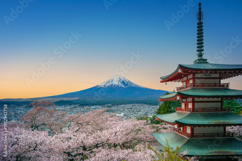 桜　富士山　日本