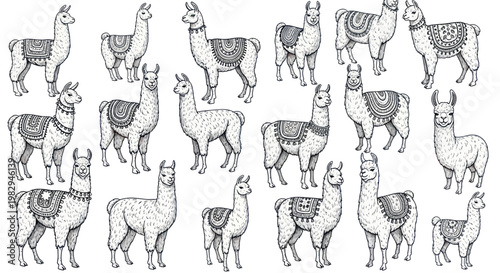 Cute Llama Illustrations Set, Hand Drawn Sketch Style, Andean Animals Collection