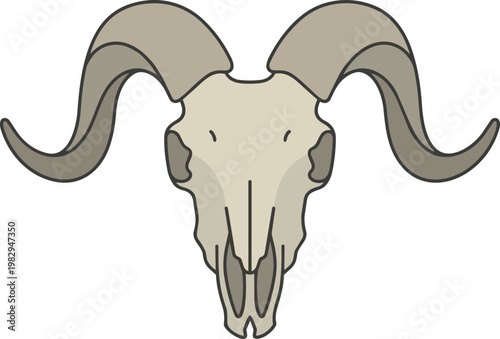 Detailed illustration of a ram skull.