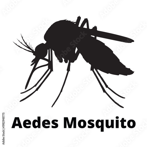 Solid black silhouette illustration of an Aedes mosquito isolated on white background, pest control and disease vector concept.