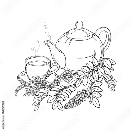 Licorice Tea in Teapot aroma beverage Outline Illustration. Vector isolated for Design and Decoration for Cafeteria, Posters, Banners, Cards.
