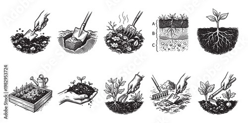 A collection of hand-drawn illustrations depicting various stages of gardening, from soil preparation and composting to planting seedlings and showing root systems.