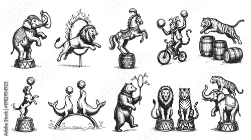 A vintage black and white illustration features various circus animals performing tricks, including a lion jumping through a fiery hoop, an elephant balancing, and seals juggling balls.
