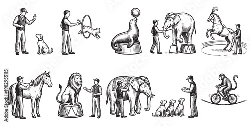 A collection of vintage style hand-drawn illustrations depicting various circus performers and trained animals in action, showcasing a playful and nostalgic atmosphere.