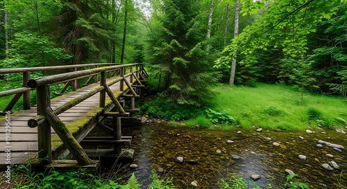 Wooden bridge over a clear stream in a lush green forest with sunlight filtering through the trees creating a peaceful natural landscape.
