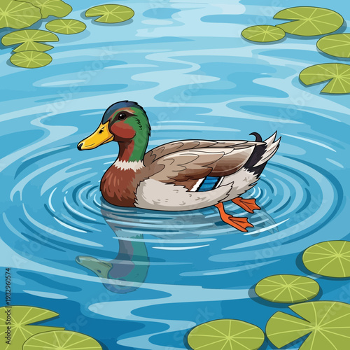 水面で泳ぐマガモの雄のイラストで、周囲に蓮の葉が浮かんでいる風景です。