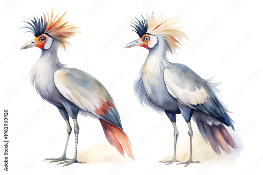 Fototapeta premium Watercolor African Secretary Bird Clipart, Elegant Tall Bird Illustration, Isolated on White