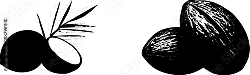 A detailed, photorealistic Brazil Nut pod with its heavy, coconut-like shell holds the nuts inside, isolated on a pure white background, showcasing the intricate details of both the shell and the