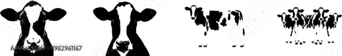 A highly detailed, photorealistic Holstein Friesian cow with its iconic black and white patched coat and calm expression is isolated on a pure white background