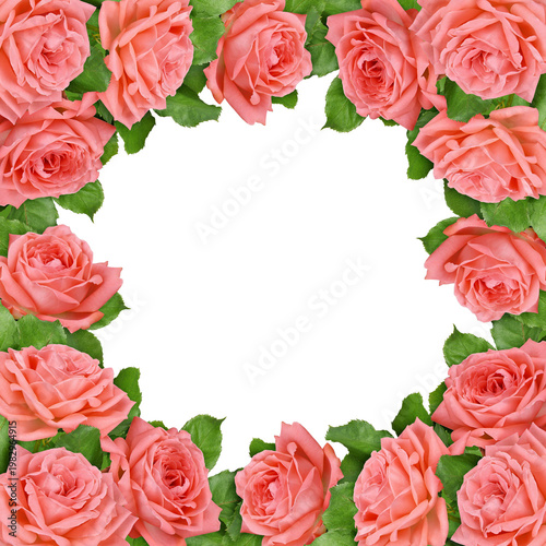 Coral rose flowers in a flo...