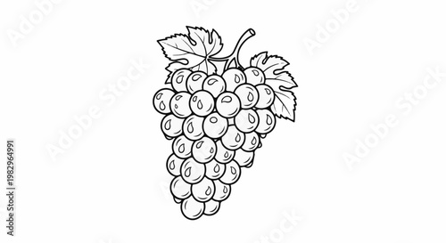A black and white outline drawing of a cluster of grapes with leaves
