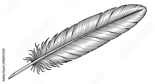 Vintage Quill Feather Drawing - Elegant Black and White Illustration