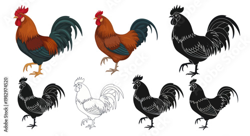 Rooster Illustrations: Colorful and Silhouette Designs