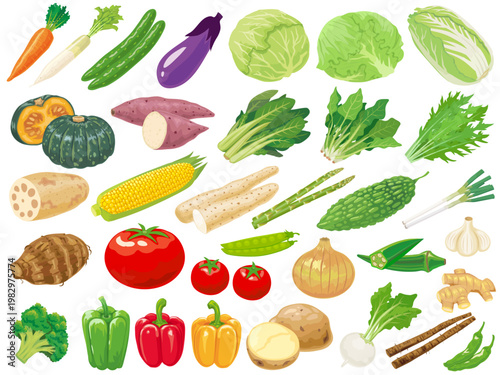 野菜のイラストセット