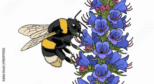 A fuzzy bumblebee collects nectar from a cluster of bright purple bell-shaped flowers