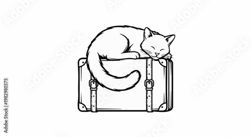 A cozy cat naps peacefully atop a vintage suitcase, a perfect travel companion