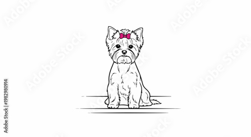 A cute fluffy dog with a pink bow sits on a line