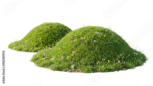 Foto Two grassy mounds with wildflowers ideal for scene composition on transparent ba